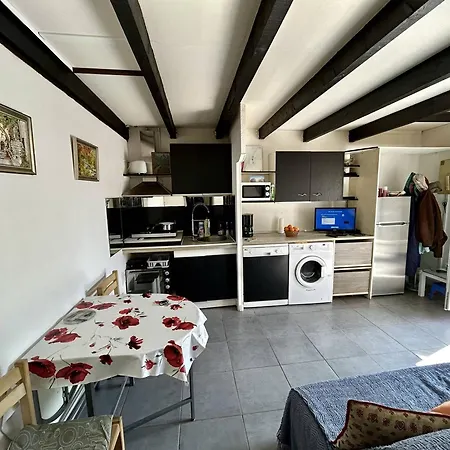 Apartment Pavillon Avec Mezzanine, Terrasse Ensoleillee, Wifi Et Parking A - Fr-1-388-240