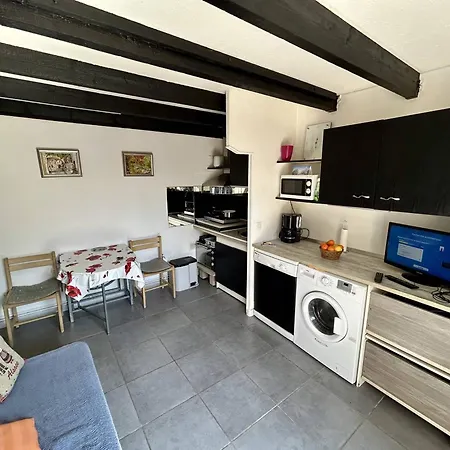 Pavillon Avec Mezzanine, Terrasse Ensoleillee, Wifi Et Parking A - Fr-1-388-240 アルジェレス・シュル・メール
